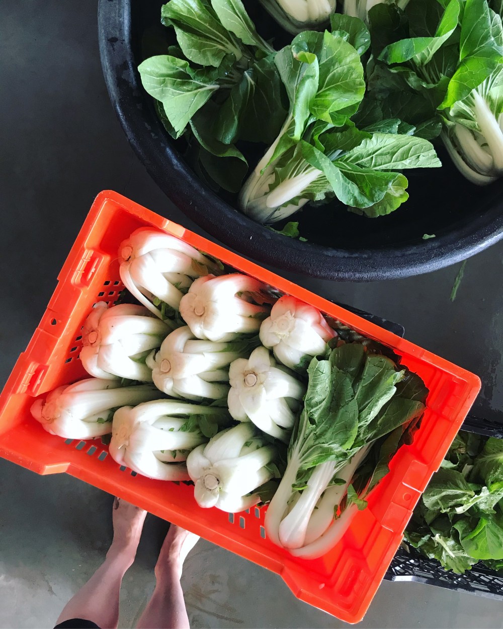 6A6D05ED-41E7-47CB-9234-9952A637BE3D