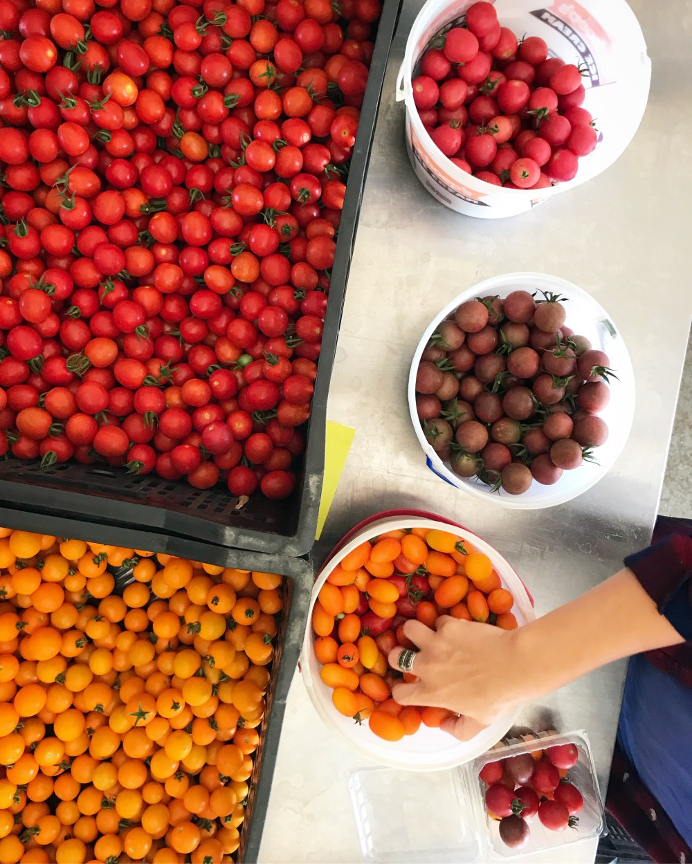 F6DE006B-0C40-40B0-9FD9-AEB902ED7225