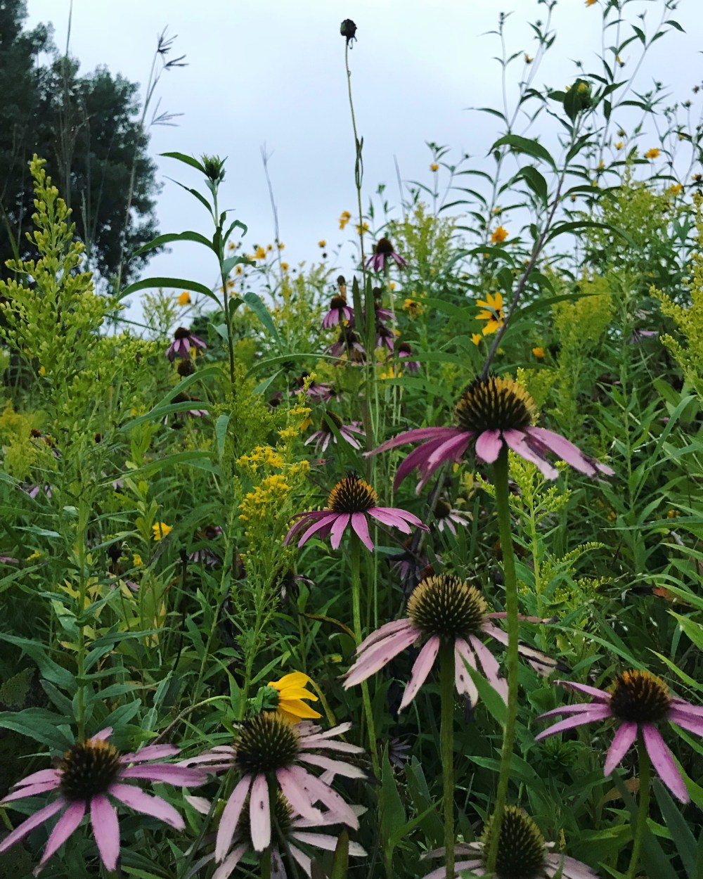 1086029A-975C-4565-9044-A608B2F9F7F8 (1)