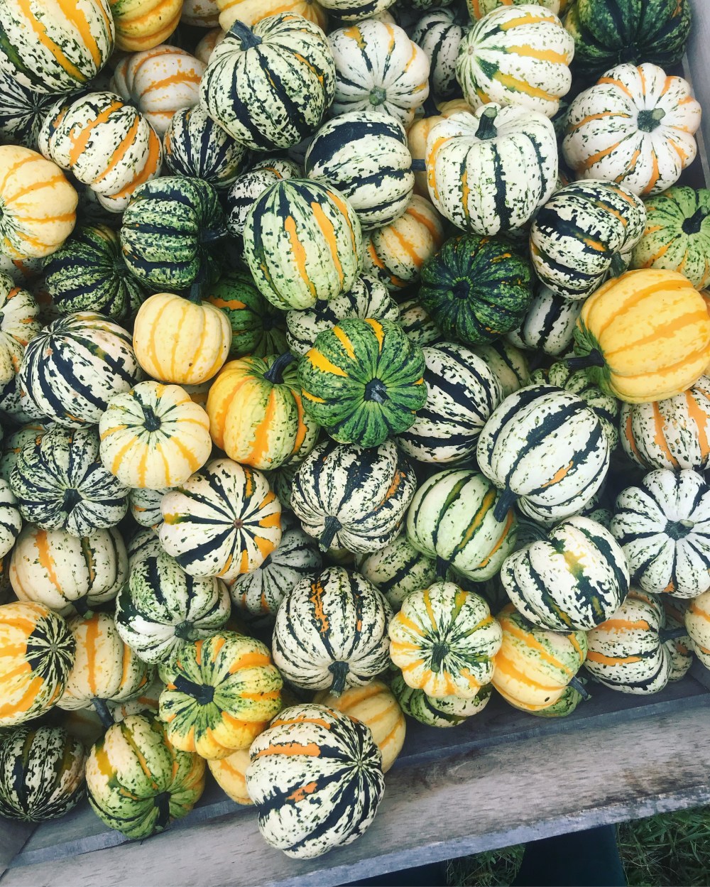 18867864-6284-492D-842E-F7D7ECBED51E